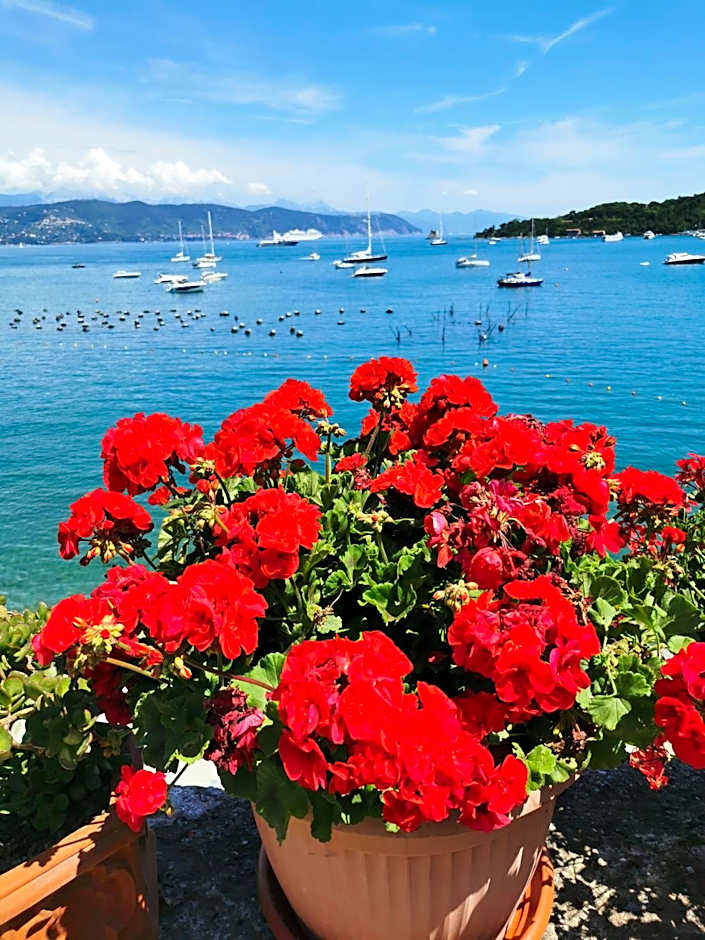 Affittacamere La Palafitta