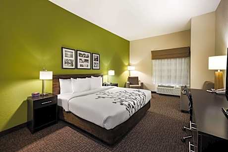 1 King Bed, Nonsmoking