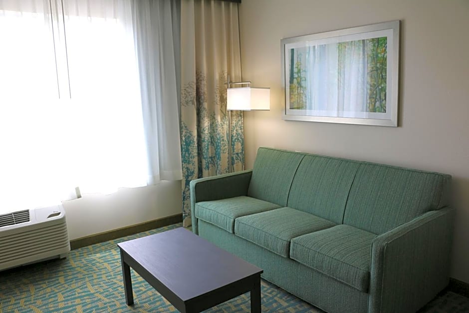 Holiday Inn Express & Suites Hendersonville SE - Flat Rock