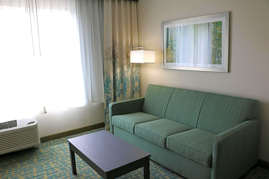 Holiday Inn Express & Suites Hendersonville SE - Flat Rock By IHG