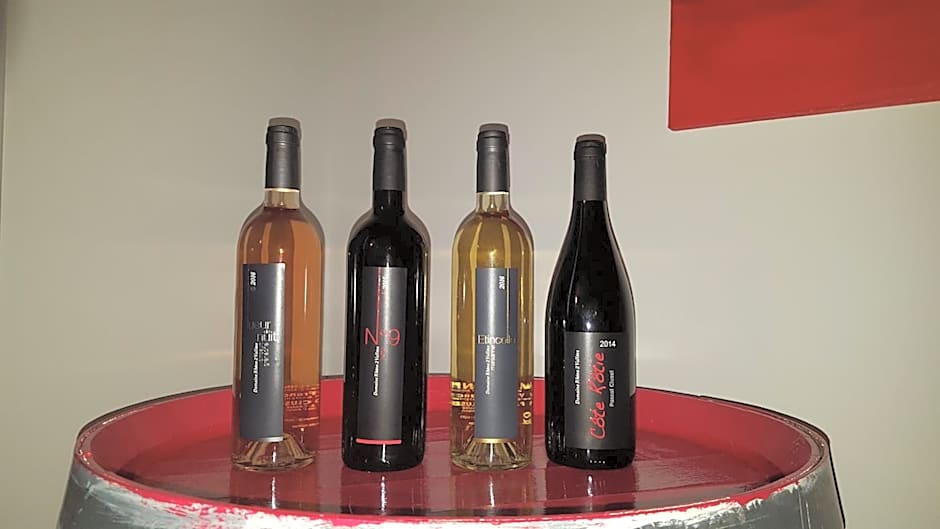 Hôtel Le Domaine des Vignes Ampuis Lyon Sud Vienne