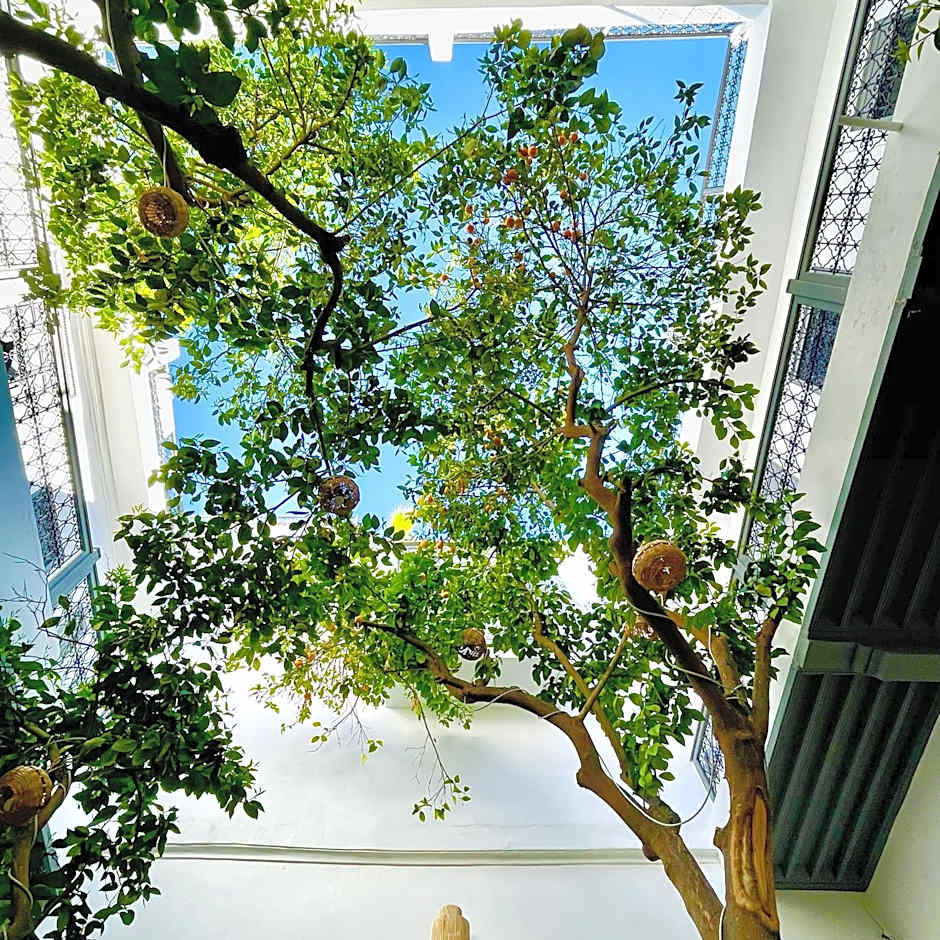 RIAD MAGIE Boutique Hotel