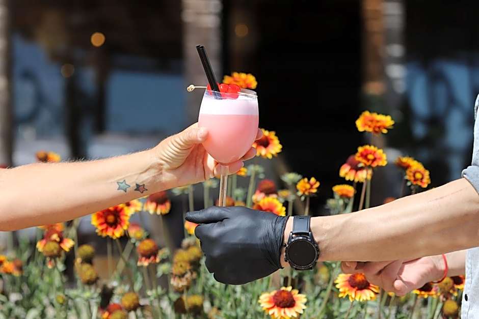 Océan Vagabond Lassarga