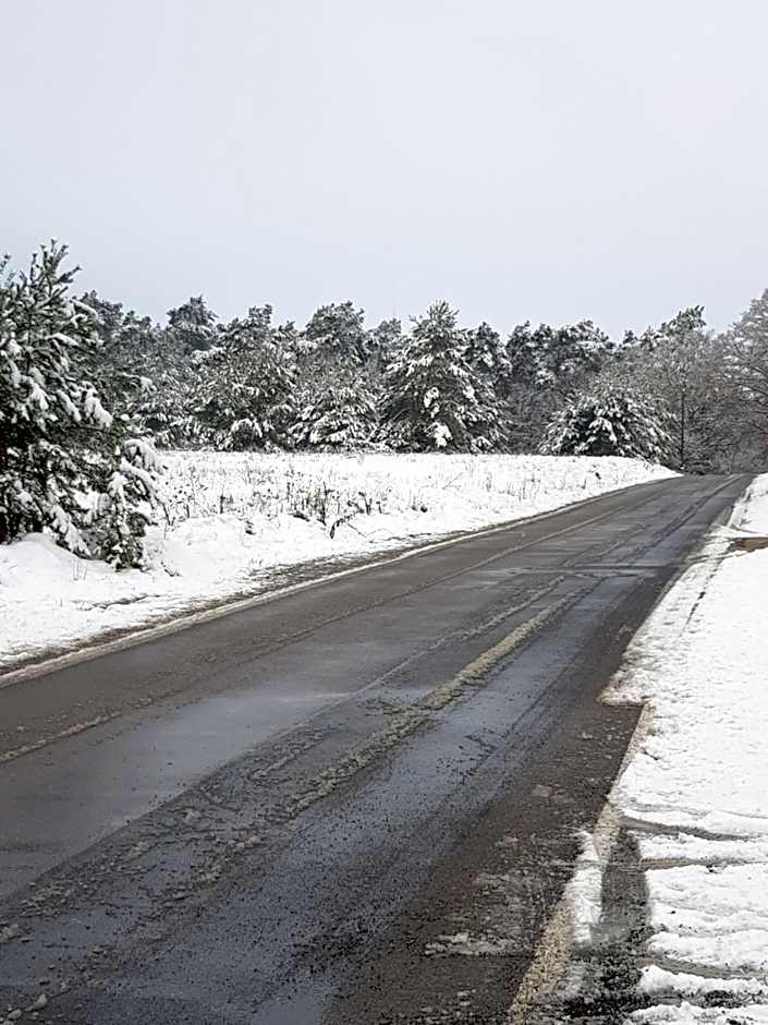 Boardinghouse Wittenberg