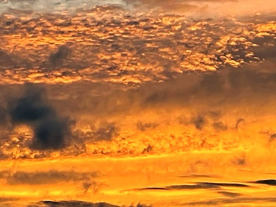 Bybrook Barn Bed & Breakfast