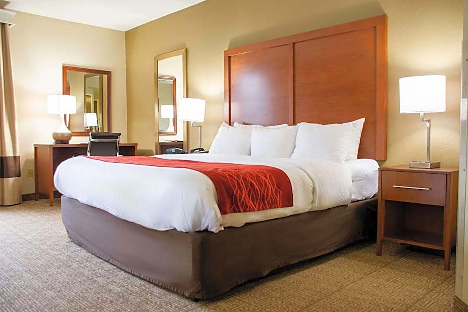 Comfort Inn Dickson