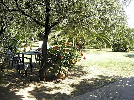 Il Boschetto