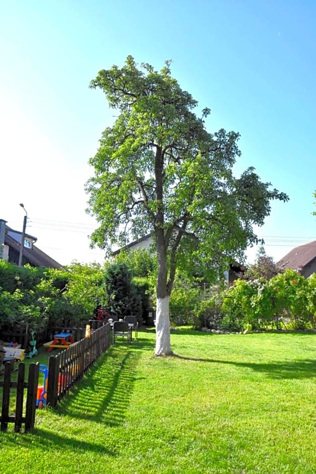 Pokoje go¿cinne Ewela