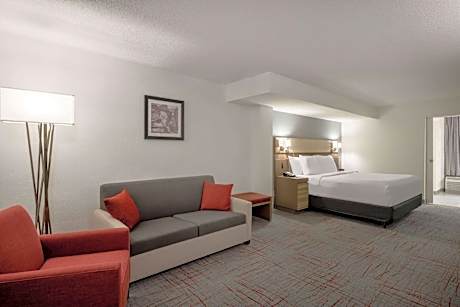 King Suite with Mobility Access and Roll-In Shower, Non-Smoking