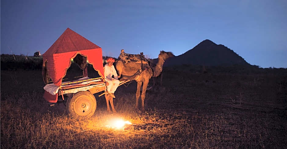 Clarks Safari Pushkar