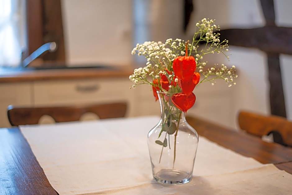 Gîtes et chambres d'hôtes Maison Ungerer