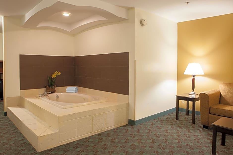 Holiday Inn Express Hotel & Suites Canton By IHG
