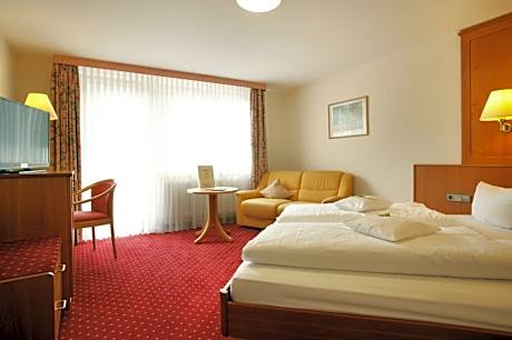 Double Room Schwarzwald (Black Forest)