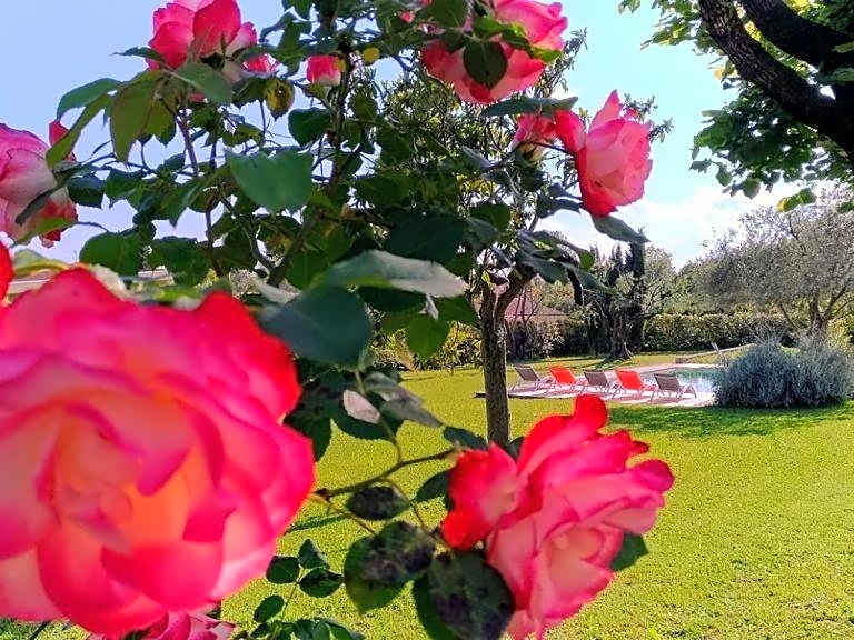 L'Escale Provençale