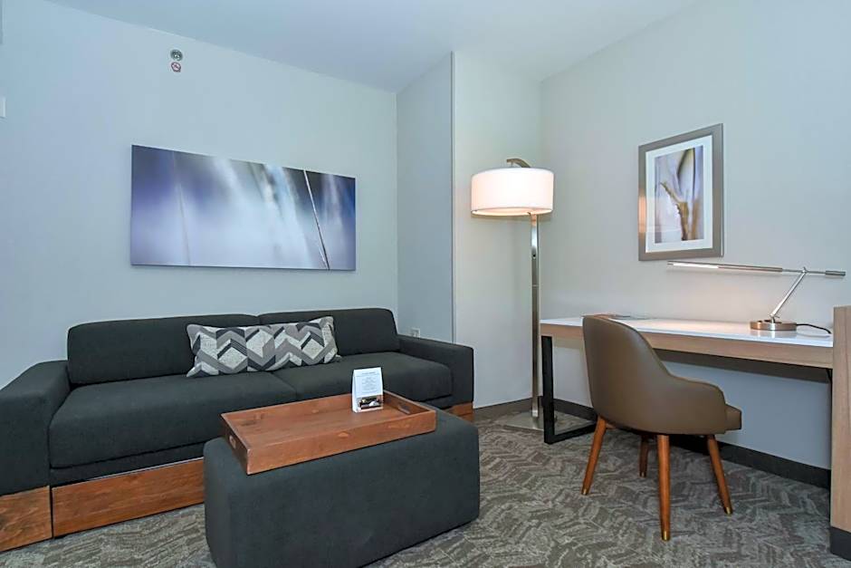 SpringHill Suites by Marriott Charlotte Uptown