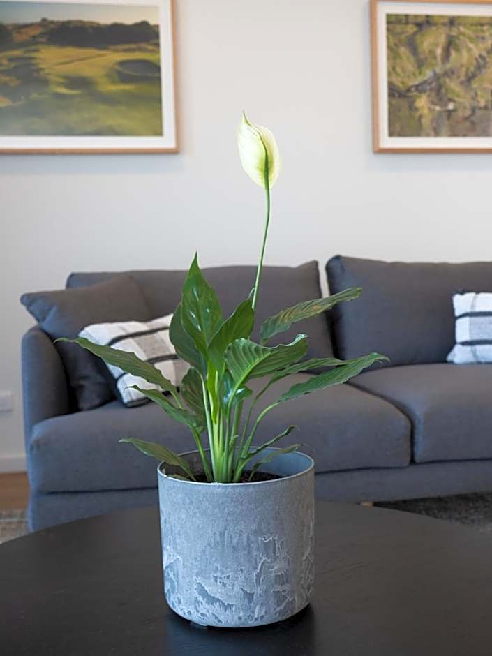 Links Lodge at The Dunes