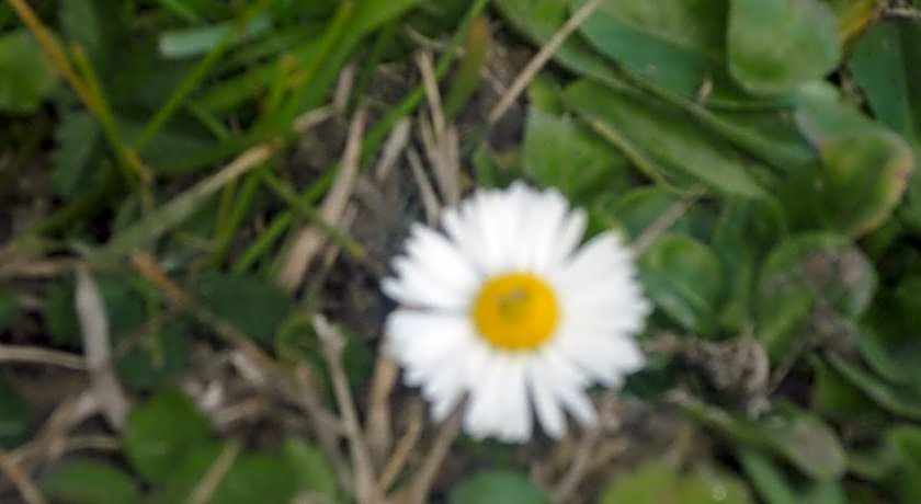 B&B Chambre Chante Cristal