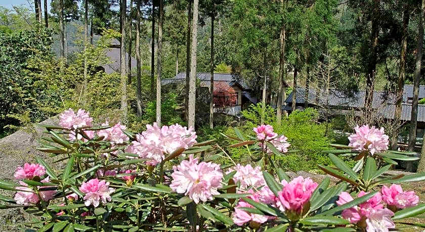 Auberge Funoki
