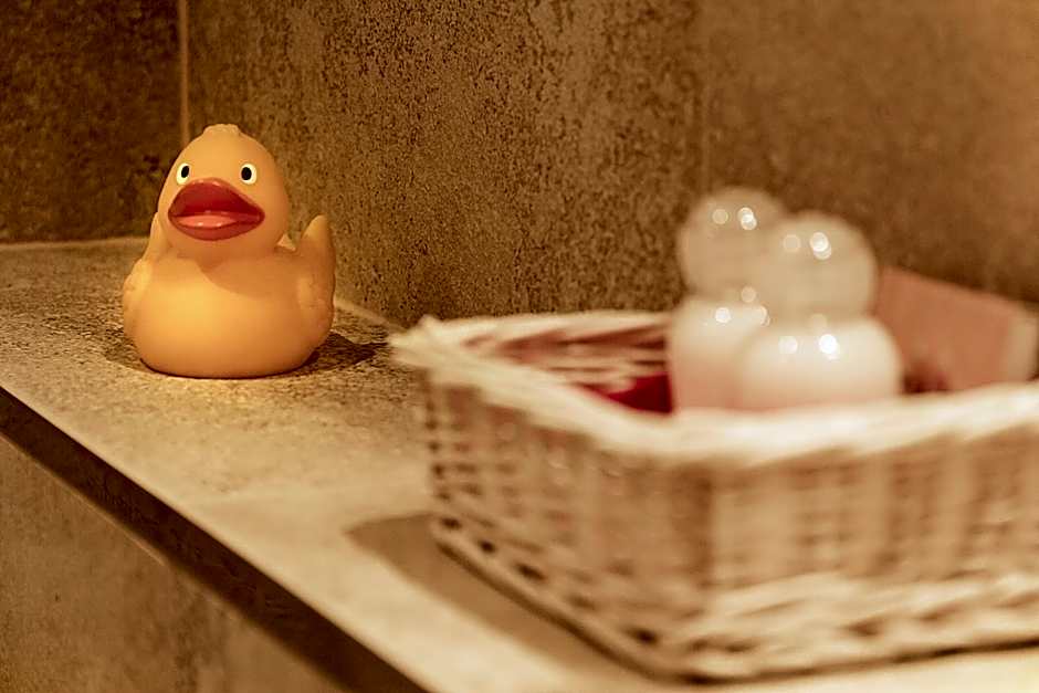 Hotel Lech & Residenz Chesa Rosa