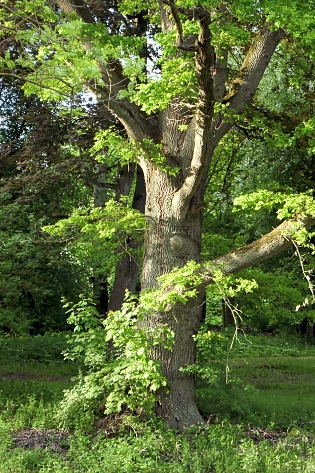 Landhaus Schloss Kolzow