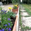 BASISA Bed&Breakfast
