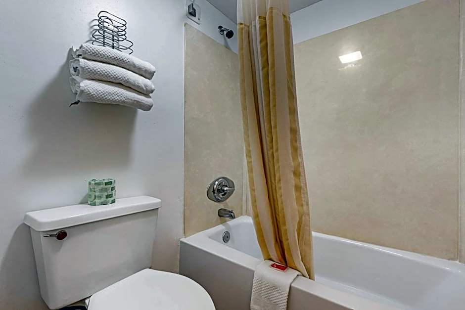 Econo Lodge Inn & Suites Lugoff