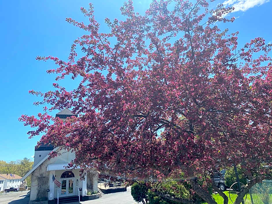 The Black Mountain Inn