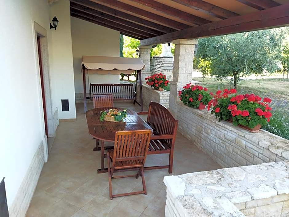 Apartments Ivan & Tina