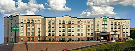 Wingate by Wyndham Chihuahua