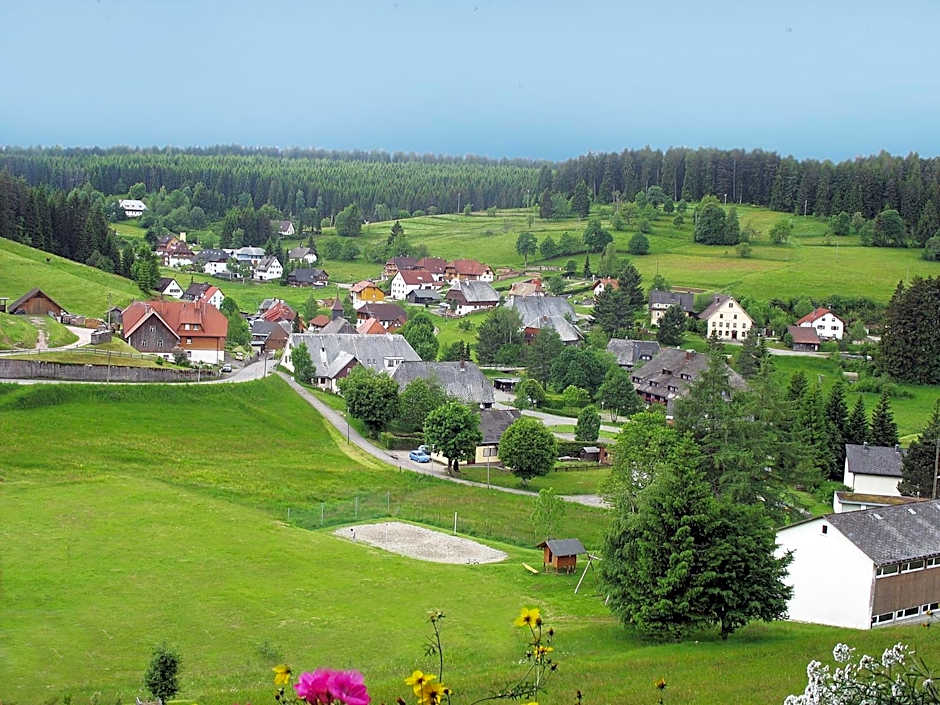 Auerhahn Bed and Breakfast - Black Forest - Waldhotel