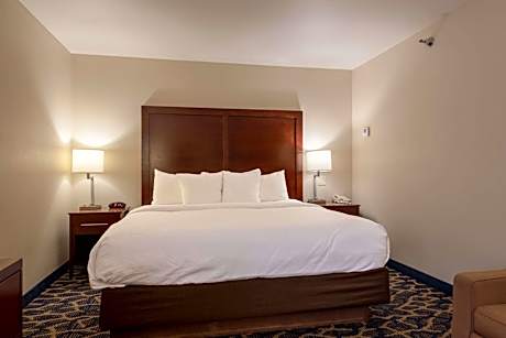1 King Bed Efficiency Suite Nonsmoking
