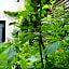 La Campagne à Paris B&B