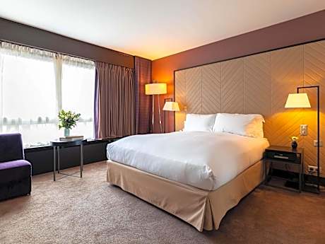 Accessible Luxury Room with One King Bed with View