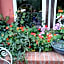 Gli Ulivi Bed & breakfast
