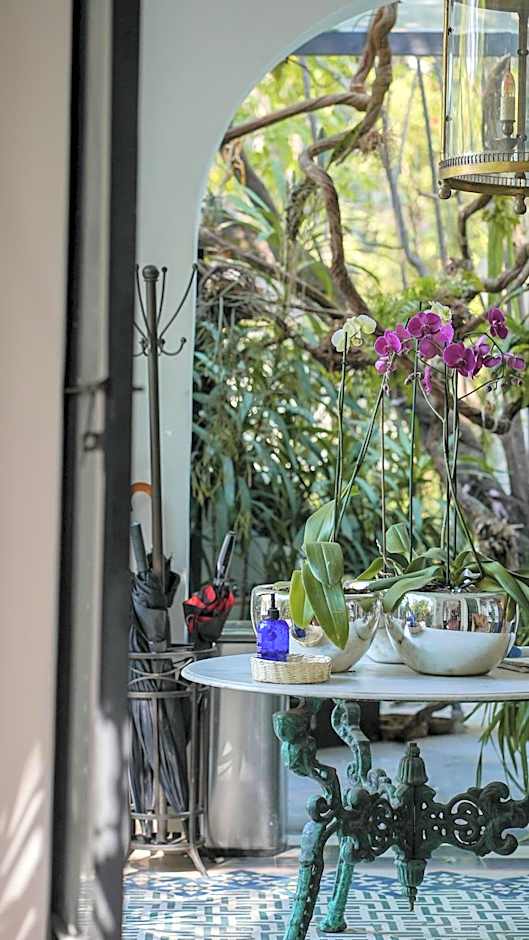 Orchid House Polanco