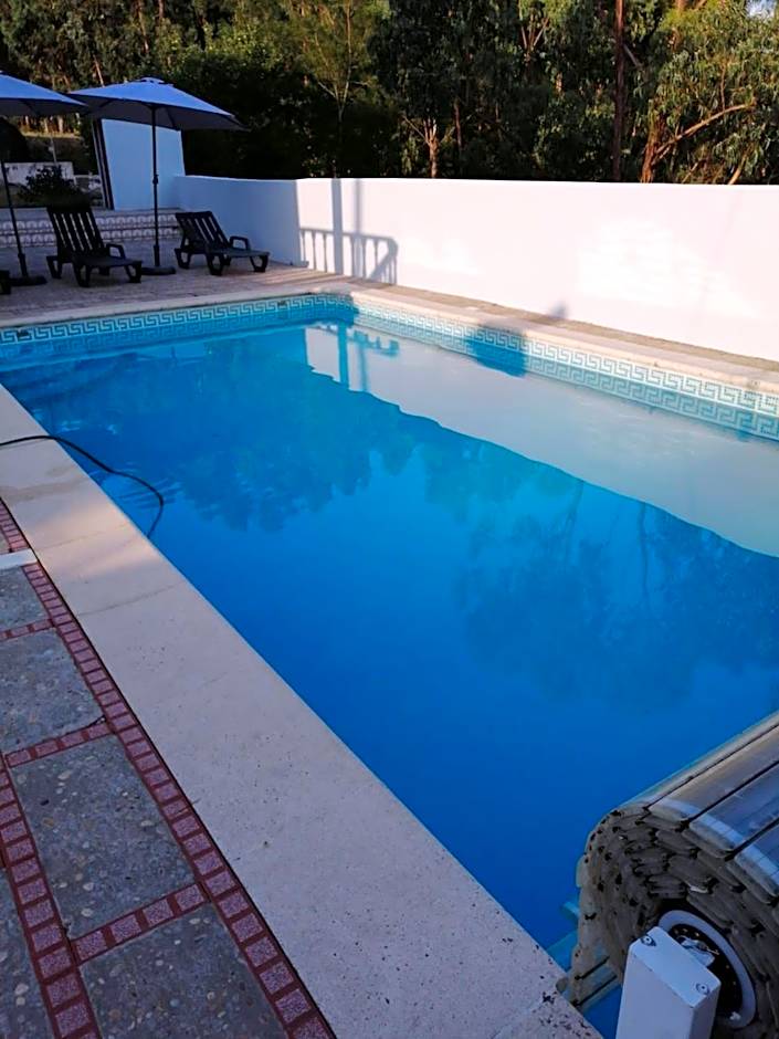 Catloc & Kitcat Alojamento Local