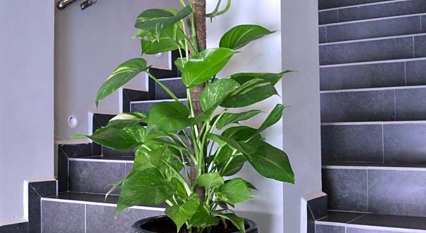 U Design Hotel Mentakab