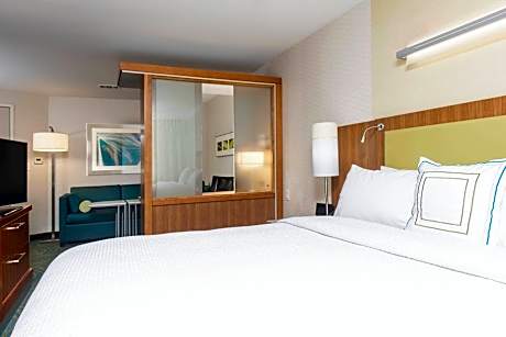 Suite, 1 King Bed with Sofa bed (1 King Bed and 1 Double Sofa Bed)