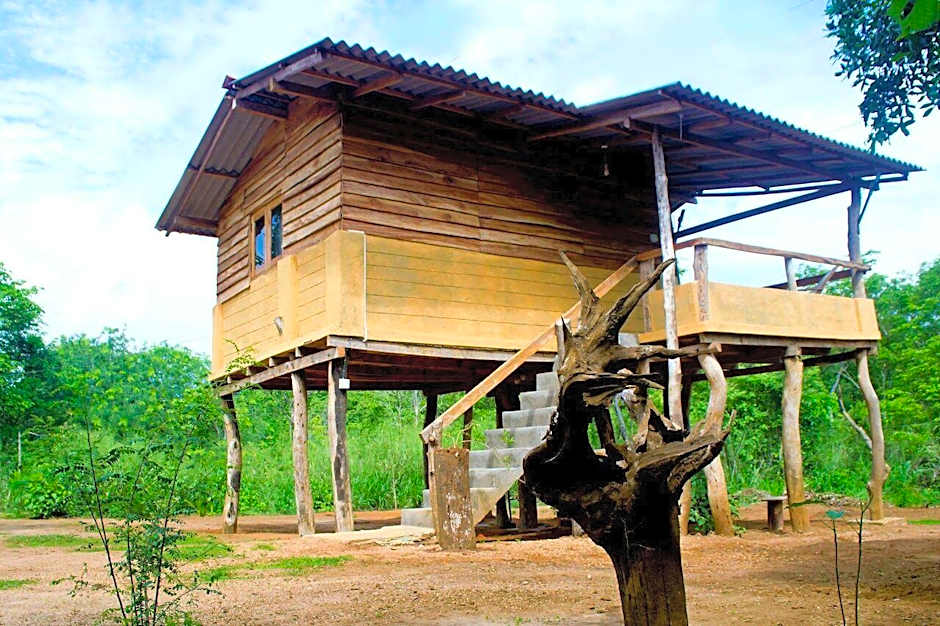 Eagle's Wings Guest House