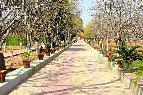 Matoshree Green Stay Sariska