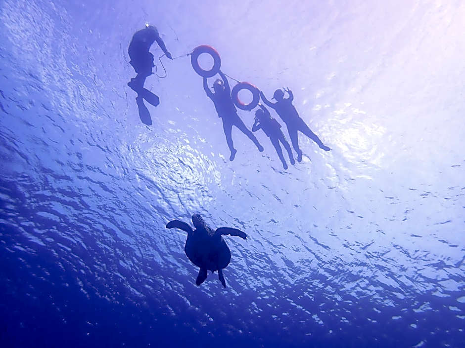 Good Viewing Spot B&B