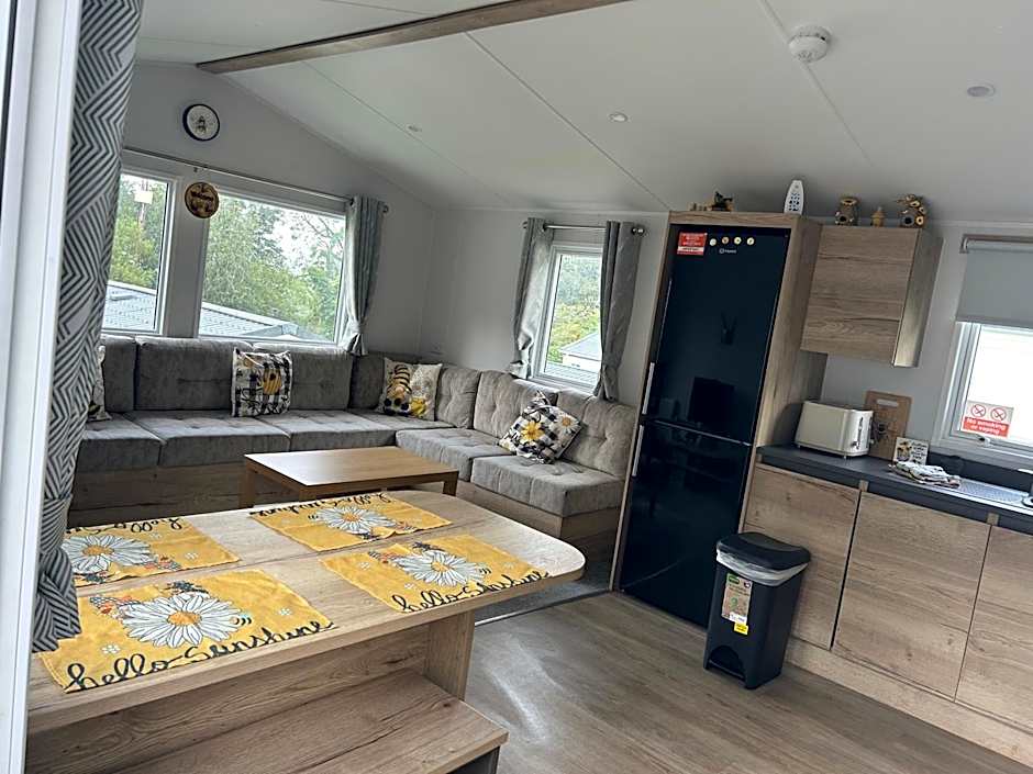 HoneyBees At Glade 17