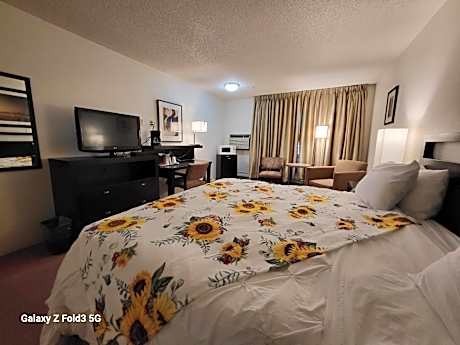 Deluxe King Suite