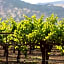 Homewood Suites by Hilton Fairfield-Napa Valley Area