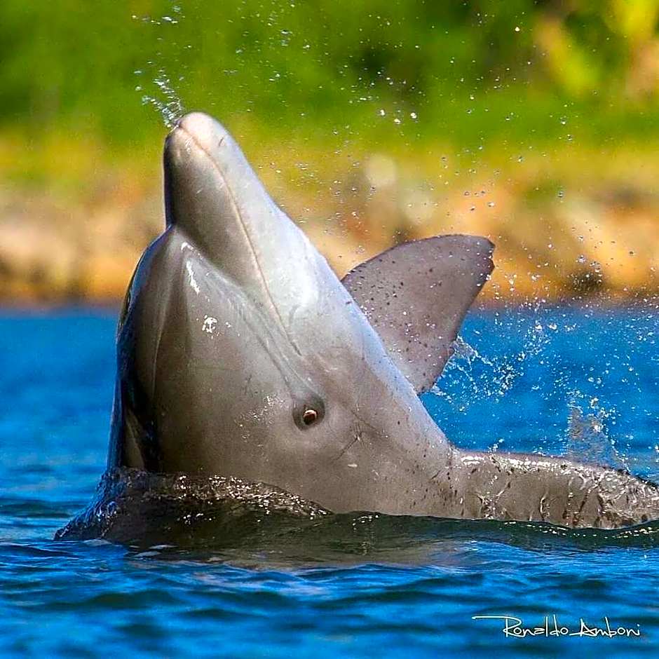 Resid. Clube Mar Grosso - Laguna - LAG706