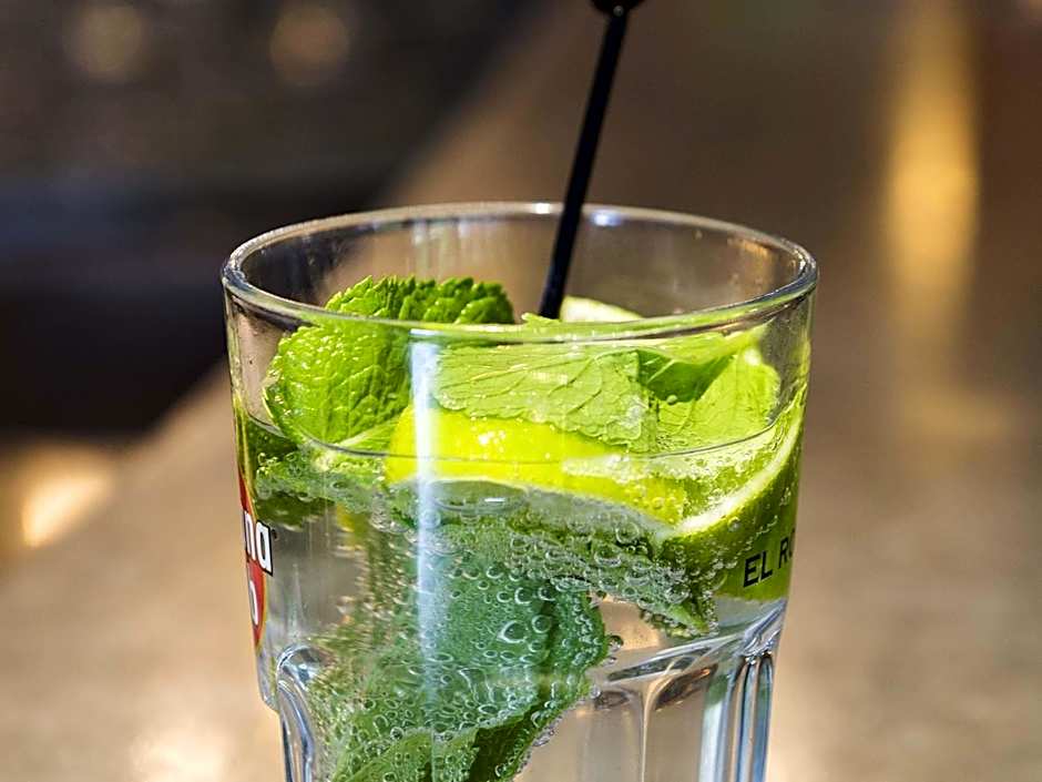 Mercure Paris Roissy Charles de Gaulle Hotel