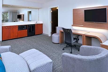 1 Bedroom 2 room Suite, 1 King, Sofa bed