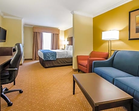 1 King Bed, Suite, Nonsmoking