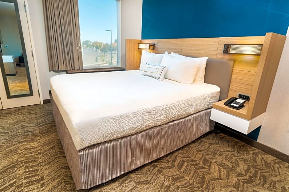 SpringHill Suites by Marriott Newark Fremont