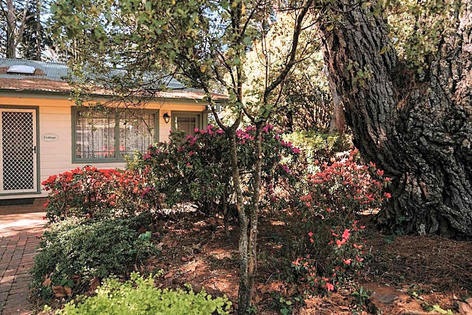 Federation Gardens & Possums Hideaway